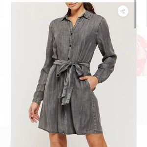 NWT Velvet Heart Shirt Dress, Gray, Large
